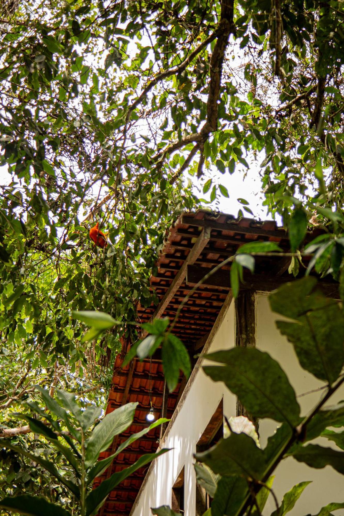 Refugio Mari Mari Lodge Presidente Figueiredo Exterior photo